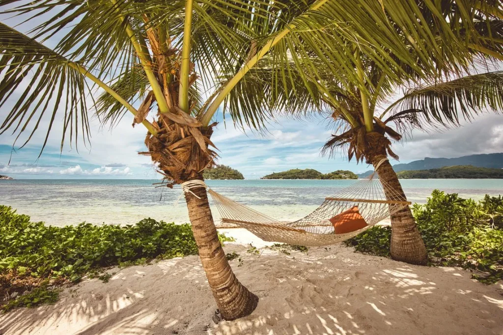 Palm trees on the beach in Seychelles